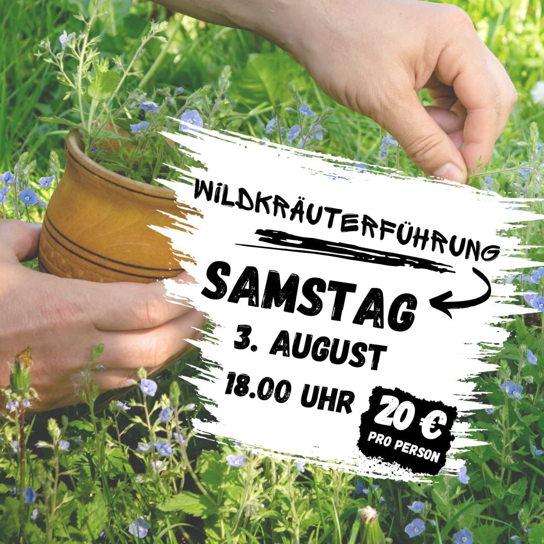 Wildkräuter Führung